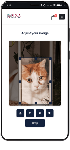 paso 3 instrucciones